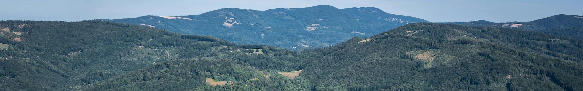 LZD Krynica - wiosna
